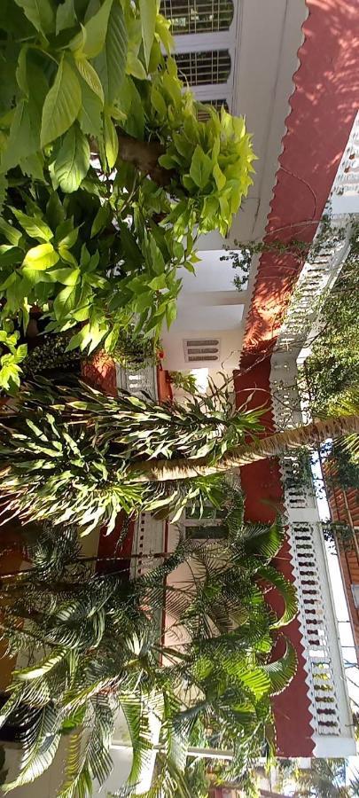 Daphne Hotel Mahabalipuram Exterior photo