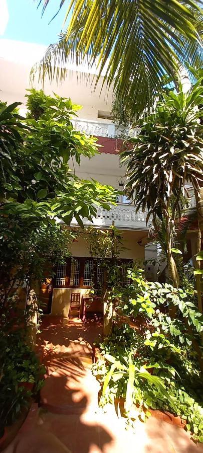 Daphne Hotel Mahabalipuram Exterior photo